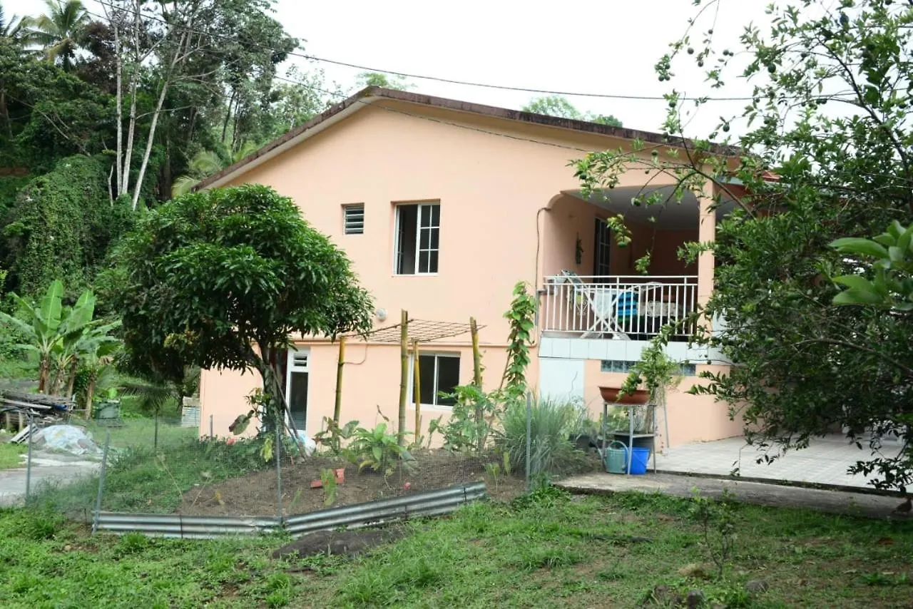 Maison Lavanne Saint-Joseph